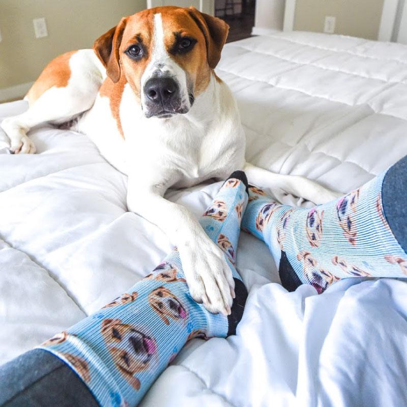 pet face socks